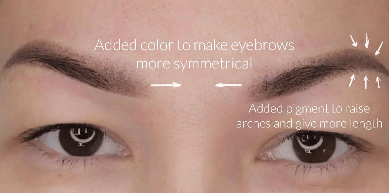 Powder-Eyebrows_4_scheme2-2 Powder Eyebrows